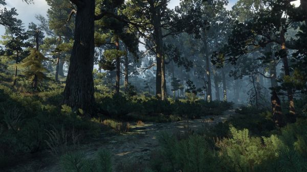 The Witcher 3 Wild berburu,screen shot,PC gaming,hutan,Skellige