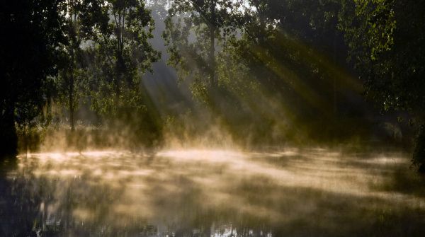 park,ochtend-,licht,hemel,UK,Zon