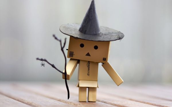 2560x1600 px,wooden surface,Danbo,twigs,witch