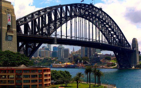 Sydney Harbour Bridge,Australia,bangunan,pohon-pohon palem,laut,pantai