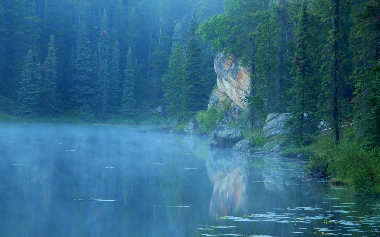 1230x768 px, blå, Canada, skog, Jasper National Park, innsjø, landskap, tåke, morgen, natur