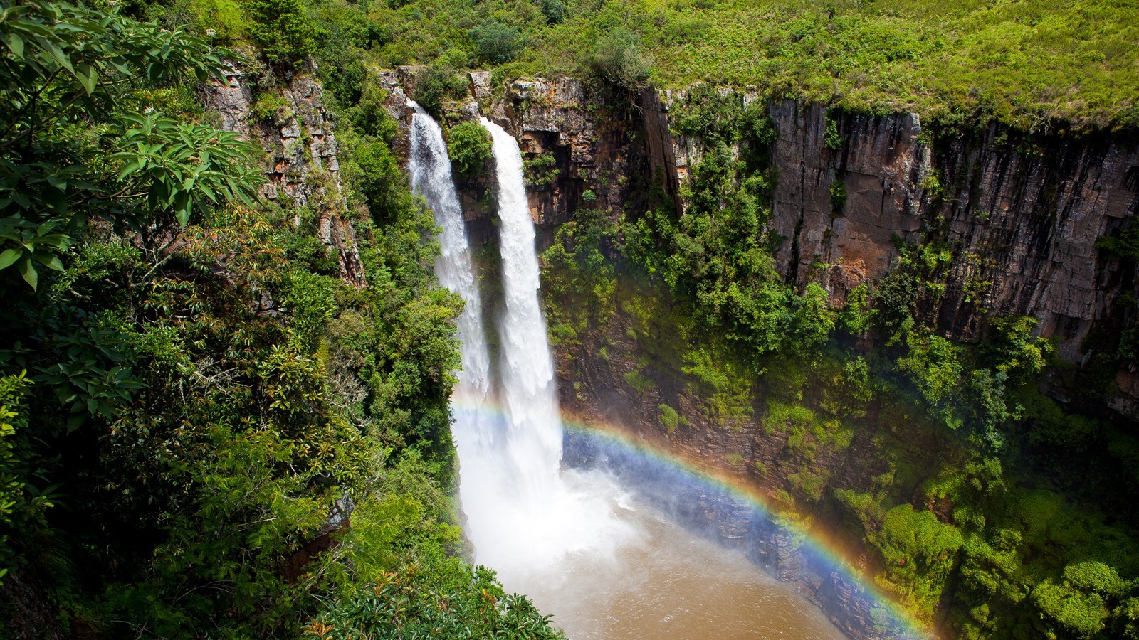 pemandangan, hutan, air terjun, air, alam, rimba, hutan hujan, Afrika Selatan, Mac mac Air Terjun, anak sungai, wasserfall, badan air, fitur air