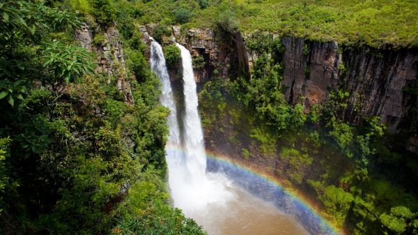 waterval,landschap,Bos,water,natuur,oerwoud