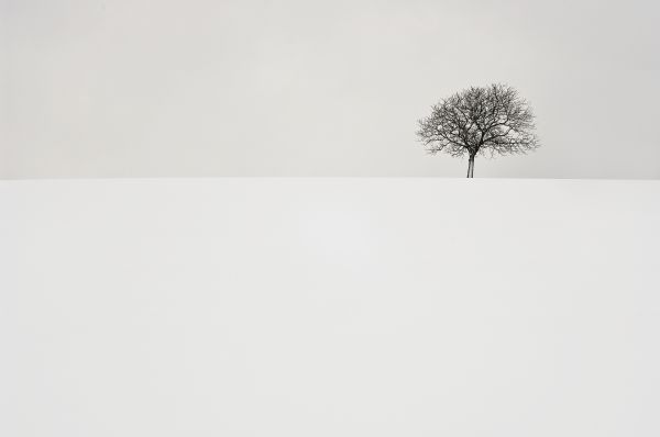 natureza,céu,panorama,branco,Preto,monocromático