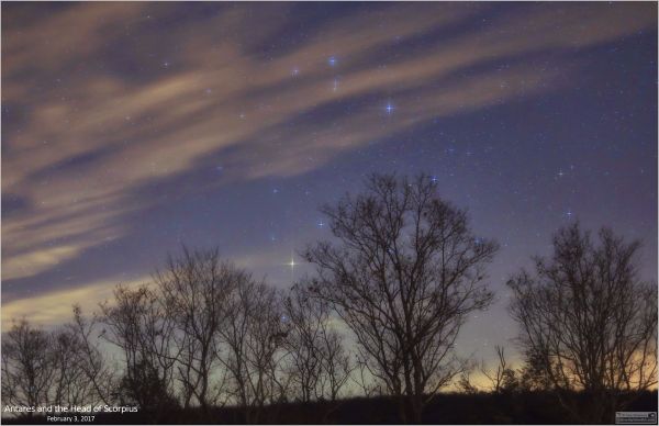 Bäume, Landschaft, Betrachtung, Himmel, Nacht-, Platz