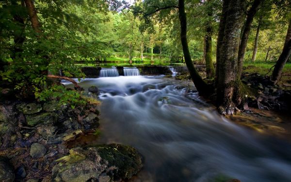 pemandangan,hutan,air terjun,air,alam,sungai