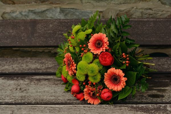 Gerbera, Flores, ramalhete, sai, Superfície de madeira