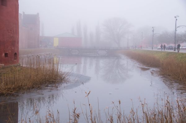 Wasser,Natur,Betrachtung,Schnee,Winter,Regen