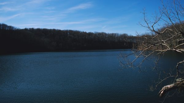 lake,water,trees