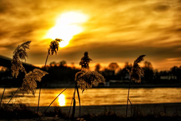 rio,Fluss,dom,Sonne,Pôr do sol,Sonnenuntergang