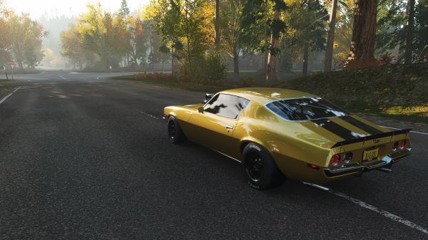 Forza,Forza Horizon,Forza Horizon 4,автомобиль,Chevrolet Camaro,Гоночный