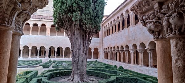 gotische Architektur,Spanien,Garten