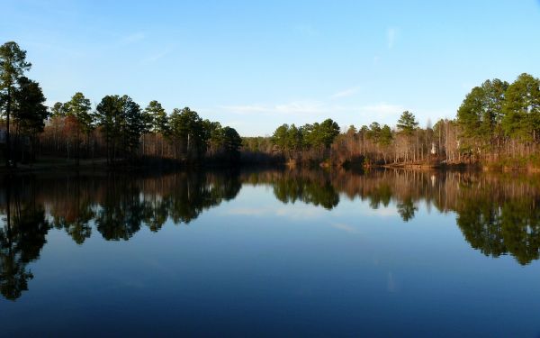 Wasser,Landschaft,Natur,Betrachtung,See