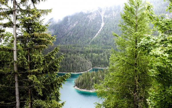 Alemanha,Árvores,floresta,lago,rio,Parque Nacional