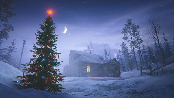 sky,plant,atmosphere,snow,photograph,Christmas Tree