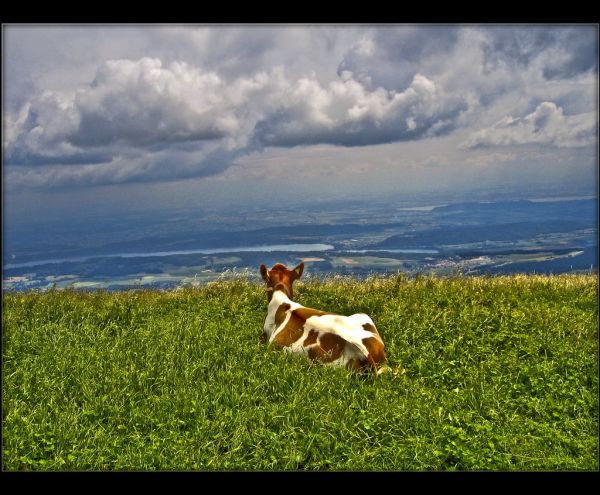 свобода,Schweiz,Швейцария,Europa,Европа,канон