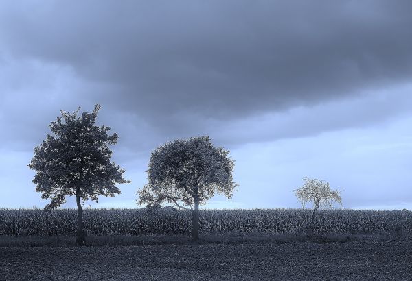 Bleu tre,abend,Olimpo,Bluehour,blau,EM5