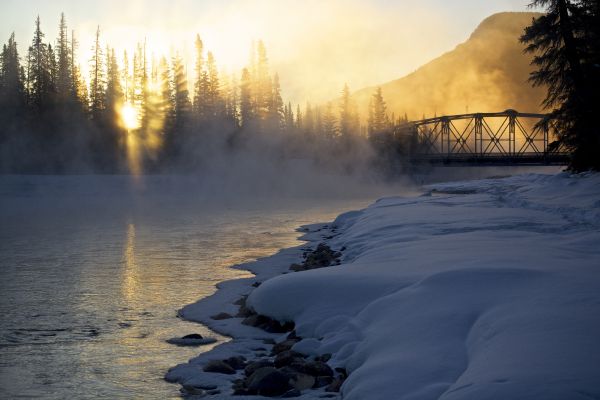 Bäume, Licht, Sonne, Brücke, Winter, Schatten