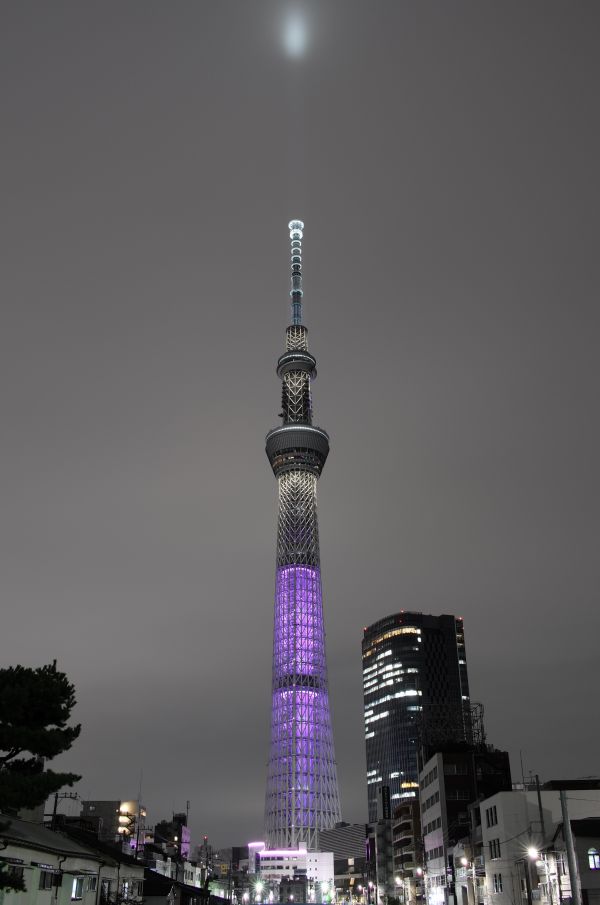 Japan,by,bybilledet,nat,arkitektur,skyline