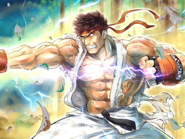 anime,Anime drenge,video spil tegn,computerspil,anime games,Street Fighter