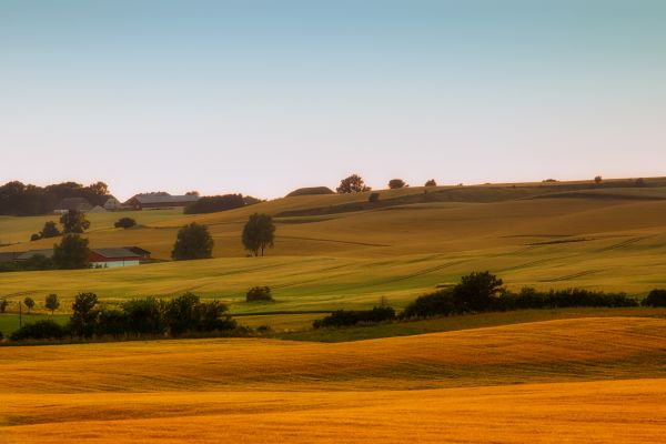 Árboles,paisaje,colina,naturaleza,césped,campo