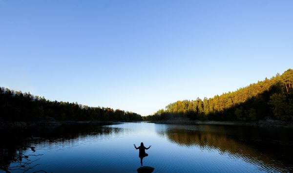 ottenstein,les,voda,Německo,Rakousko,Ottenstein Reservoir