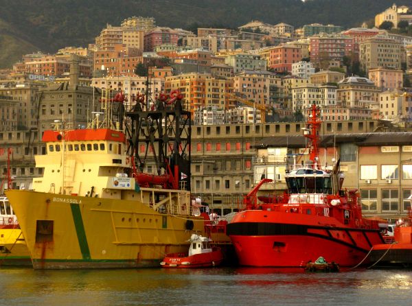 ship,boat,harbor,city,town,Porto