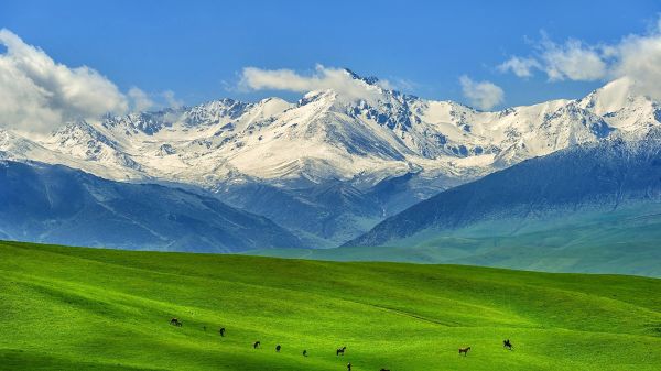 hory,kôň,zasnežený vrchol,Kazachstan,mraky,dopoludnia