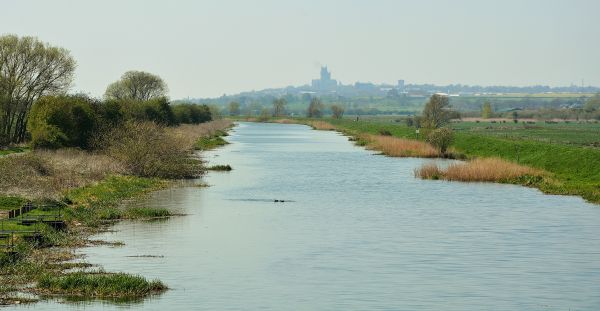 landschap,water,trein,spoorweg,kust-,reflectie