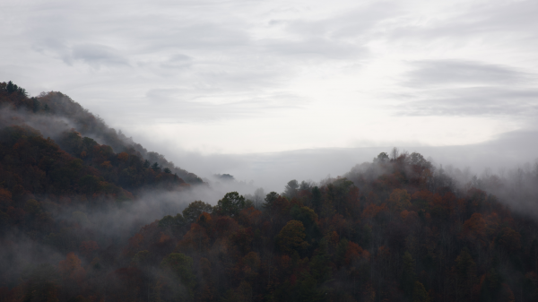 nature,landscape,trees,forest,sky,clouds