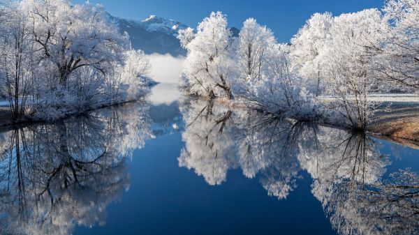 природа,пейзаж,дървета,река,сняг,планини