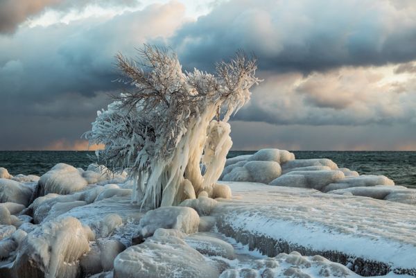 solljus,landskap,hav,vatten,sten,natur