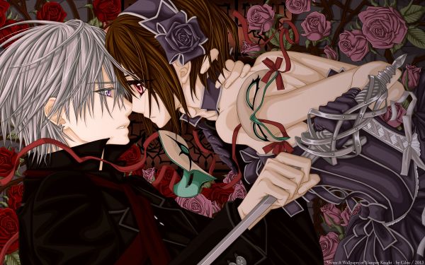 illustration,anime,comics,Vampire Knight,comic book