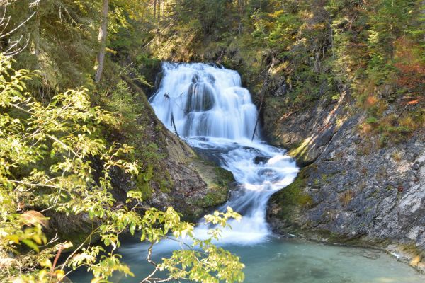 물,식물,Natural landscape,fluvial landforms of streams,봄,분기