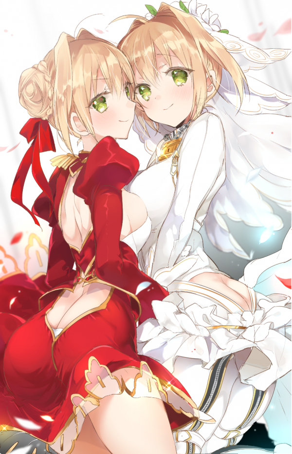 аниме,Аниме девушки,Серия Fate,Fate Extra,Fate Extra CCC,Судебная практика