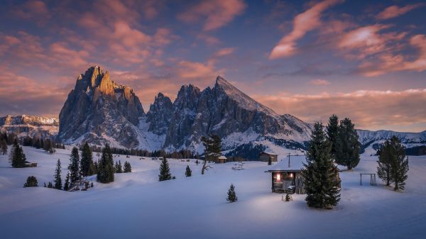 1920x1080 px,kabine,Dolomitterne bjerge,Italien,bjerge,fyrretræer