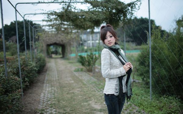 forest,women,model,Asian,green,sweater