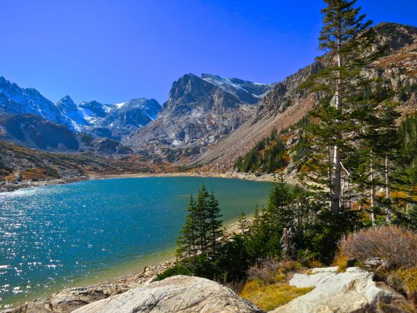 trees,landscape,mountains,sea,lake,nature