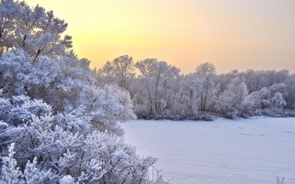 1920x1200 px, Felder, Landschaften, Wiese, Natur, Jahreszeiten