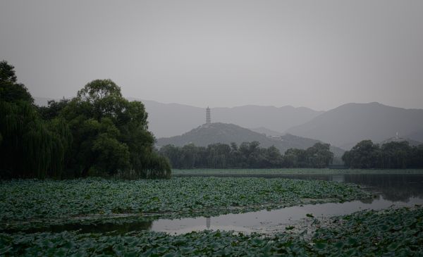 China,voiaj,copaci,lac,munţi,reflecţie