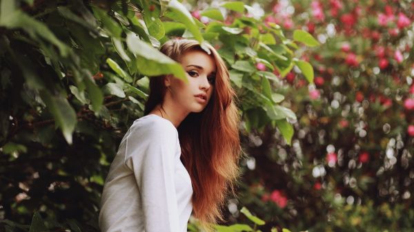 zonlicht, bomen, Bos, women outdoors, vrouw, model-