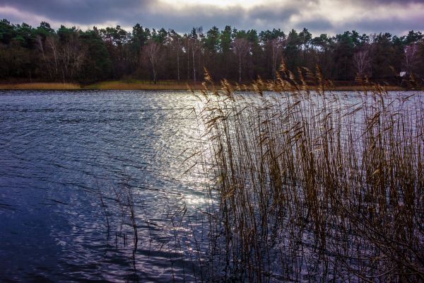 syksy,Puut,taivas,Aurinko,järvi,pudota