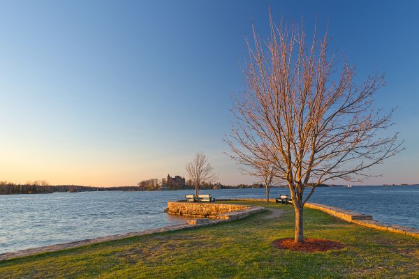 viajar,puesta de sol,nuevo,madera,York,Árboles