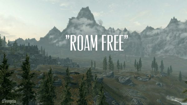 video games, The Elder Scrolls V Skyrim, forest, panorama, valley, wilderness