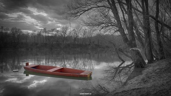 boot, monochroom, water, natuur, reflectie, hemel