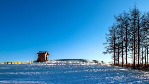 sky,nature,trees,snow,fence,cottage