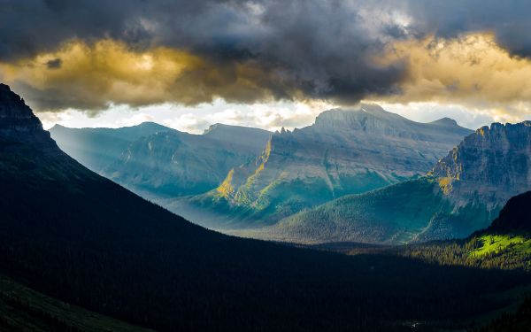 lumière du soleil,des arbres,paysage,Montagnes,forêt,colline