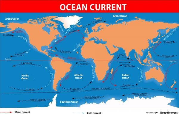 插图,海,世界,地图,世界地图,大陆