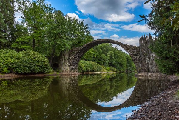 copaci,grădină,apă,reflecţie,fotografie,nori