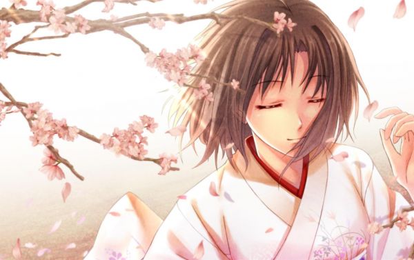 illustratie,anime,animemeisjes,The Garden of Sinners,roze,kimono